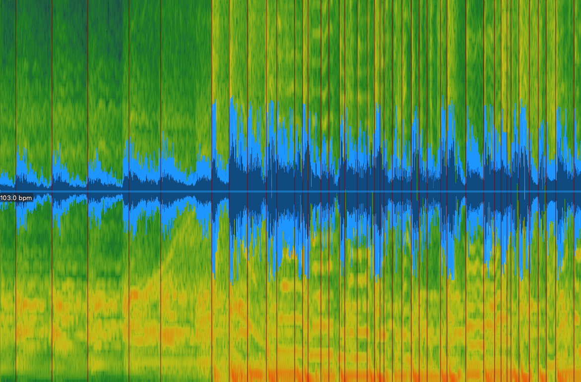 An image of the spectrogram, plus additional layers of detail in the form of the rhythm onset points